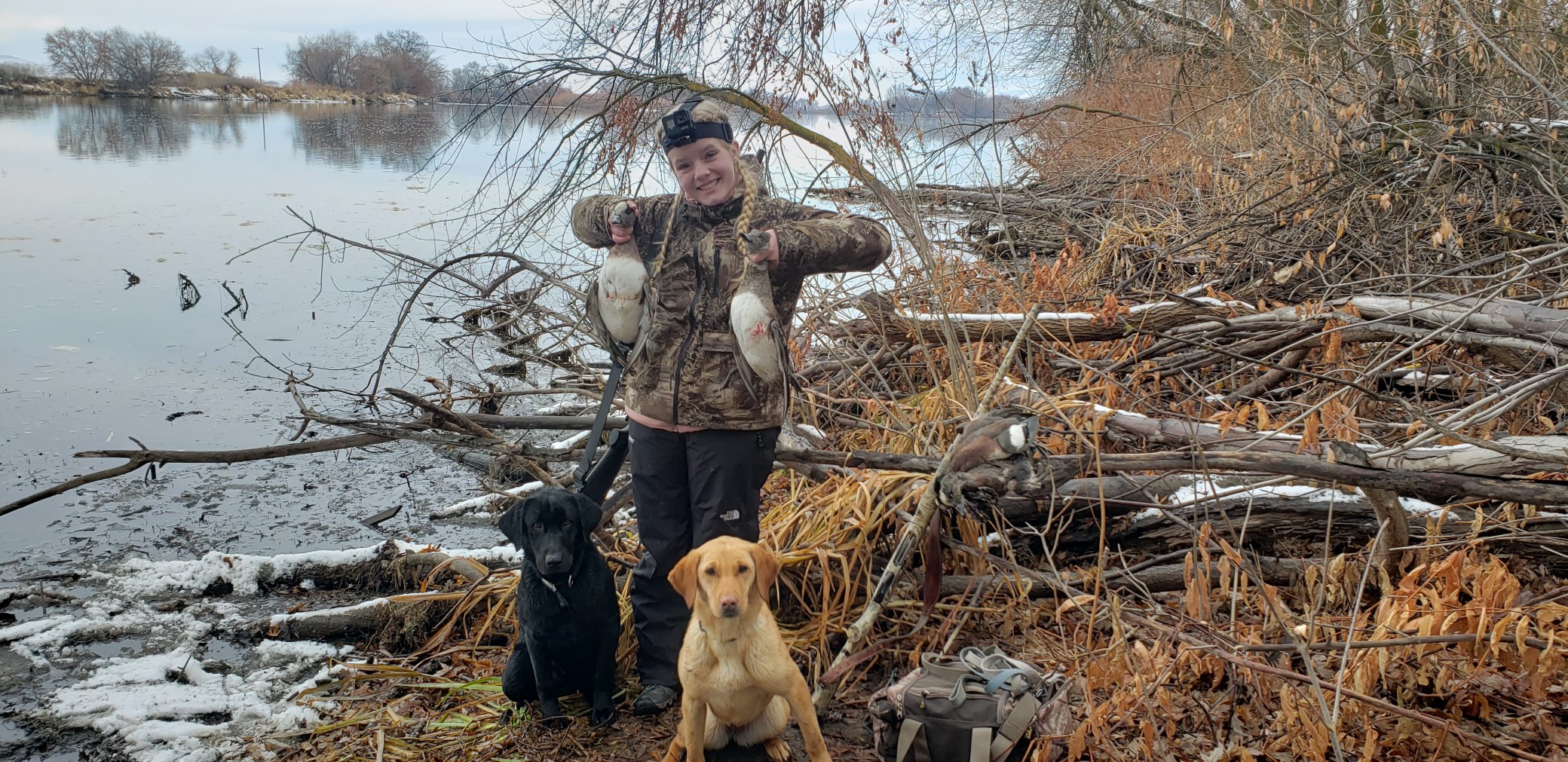 Alexia's First Ducks with Rex and Echo